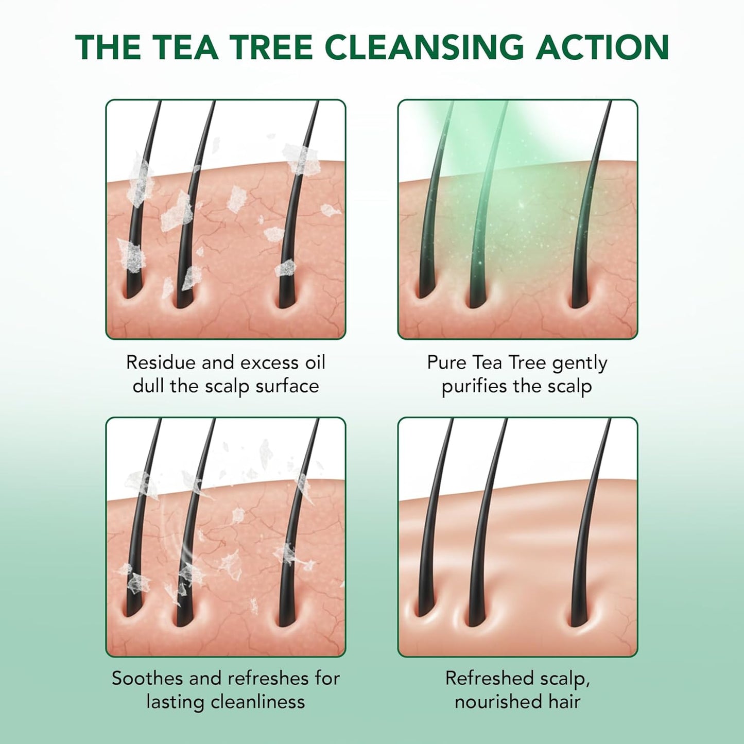 Tea Tree Shampoo and Conditioner Set | with 100% Pure Tea Tree Oil, for Itchy and Dry Scalp, Sulfate/Paraben Free | for Men and Women | 16 Fl Oz Each