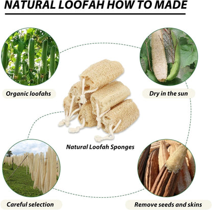Organic Natural Loofah Sponges 4.7'' Luffa Spa,Pack of 4 Exfoliating & Smooth Skin Bath Shower Loofas Loofa for Women and Men Body Scrubber