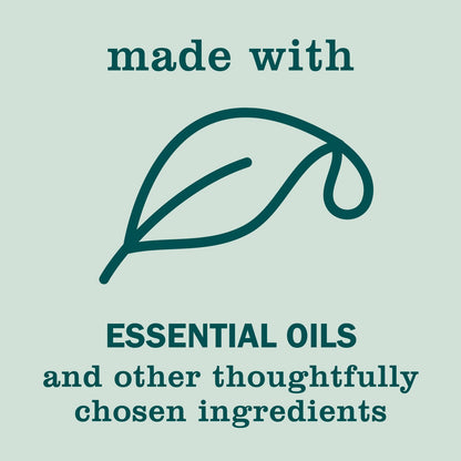 Mrs Meyer'S Clean Day Birchwood Hand Soap Pack of 3 Aromatherapeut