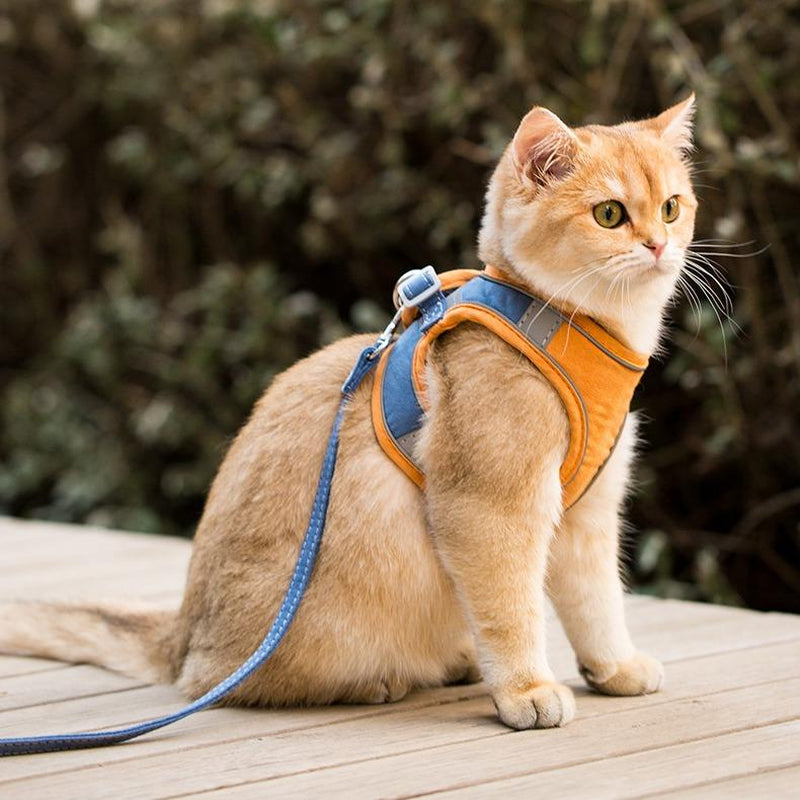 [Hipipet] Escape-Proof Cat Harness Vest - Adjustable Leash for Walking Kittens - Comfortable Outdoor Cat Walking Gear, Cats Accessories Pet Products Tools, Cozyvibes
