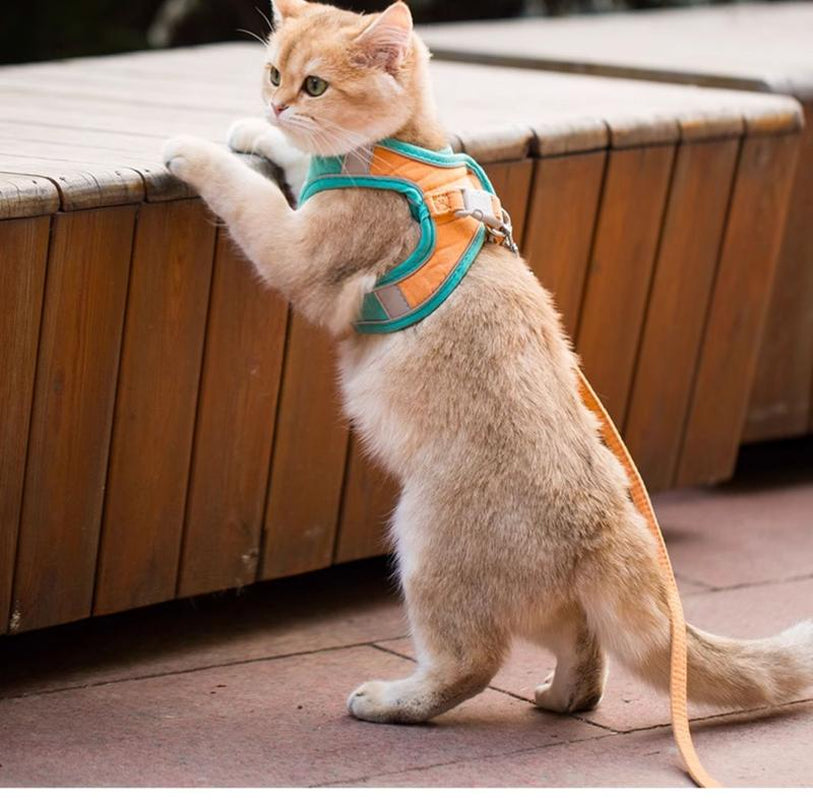 [Hipipet] Escape-Proof Cat Harness Vest - Adjustable Leash for Walking Kittens - Comfortable Outdoor Cat Walking Gear, Cats Accessories Pet Products Tools, Cozyvibes