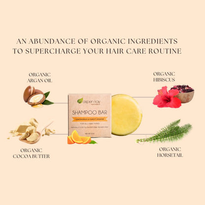 Moroccan Argan Oil Shampoo Bar, Organic, Vegan, Volumizing Shampoo for Curly or Straight Hair. Citrus Scent, Paraben & Sulfate Free, Made in USA - 3 Oz.